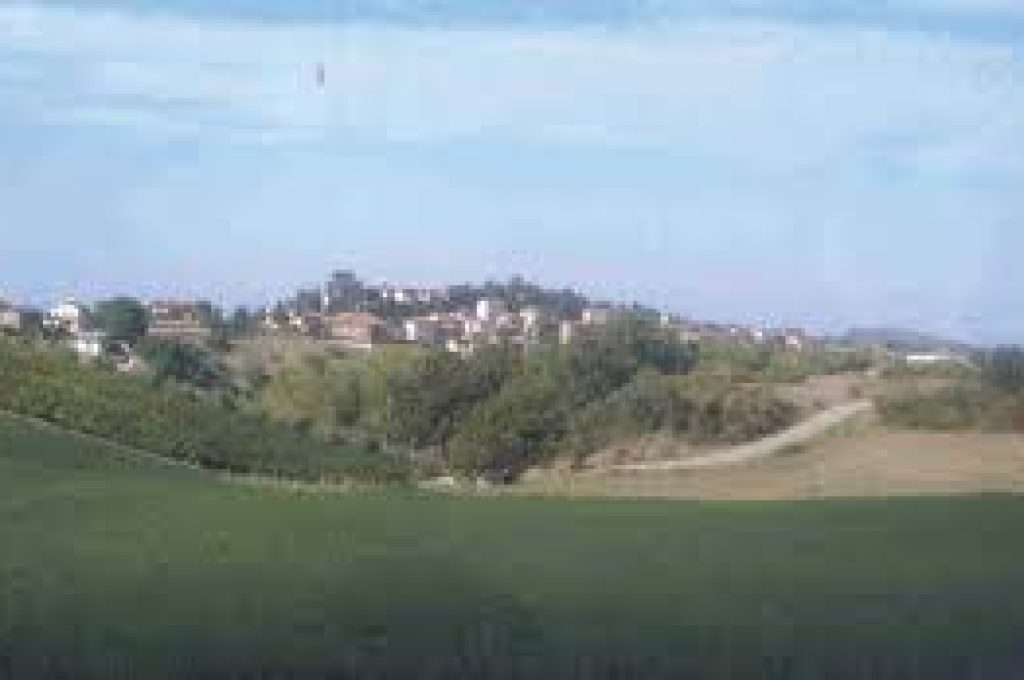 San Venanzo panorama