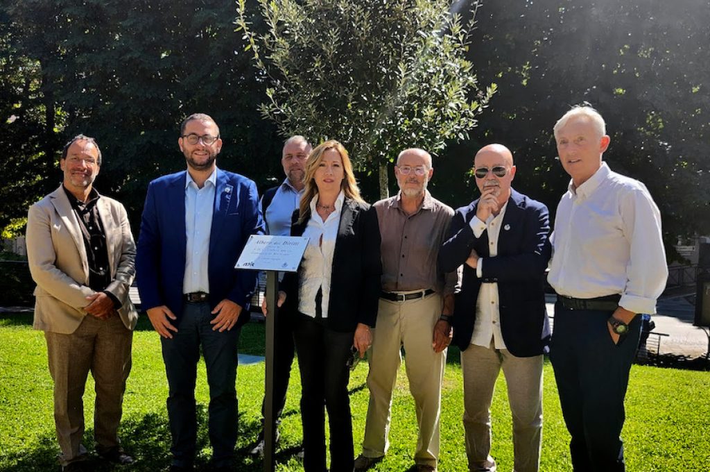 Targa albero diritti Adic