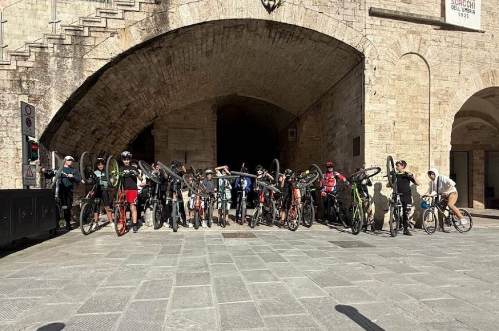 Todi bikes
