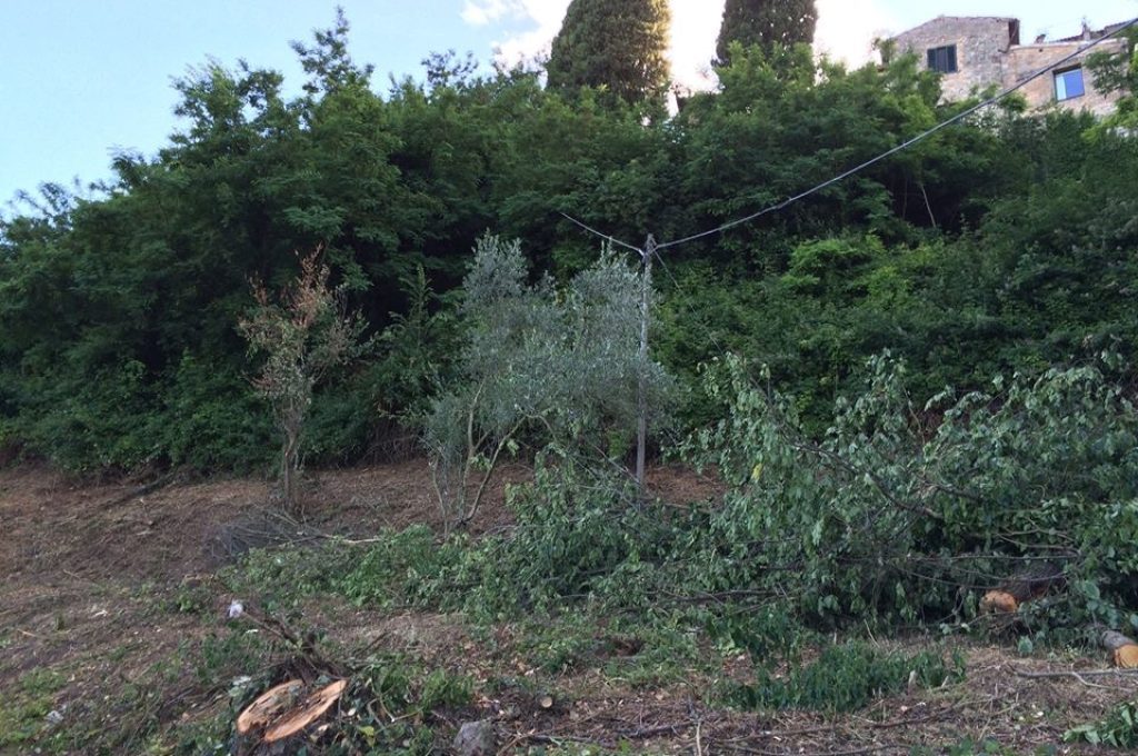 Todi_SanCarlo_Lavori