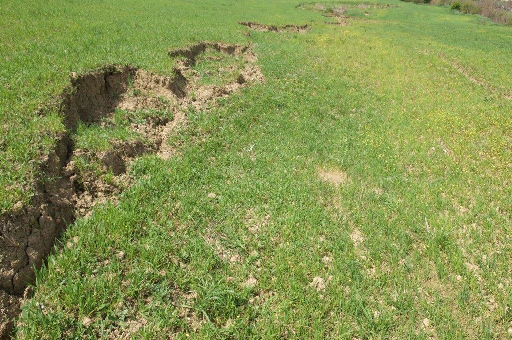 Todicascianellaaprile 1