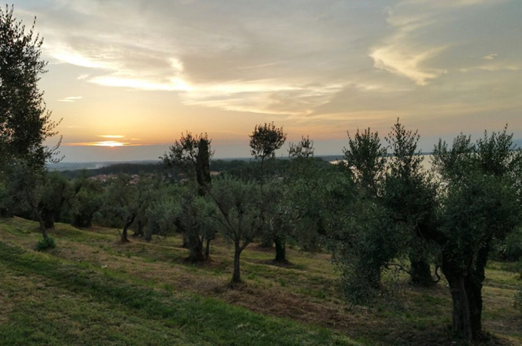 Trasimeno-Trekking-Tramonto-1