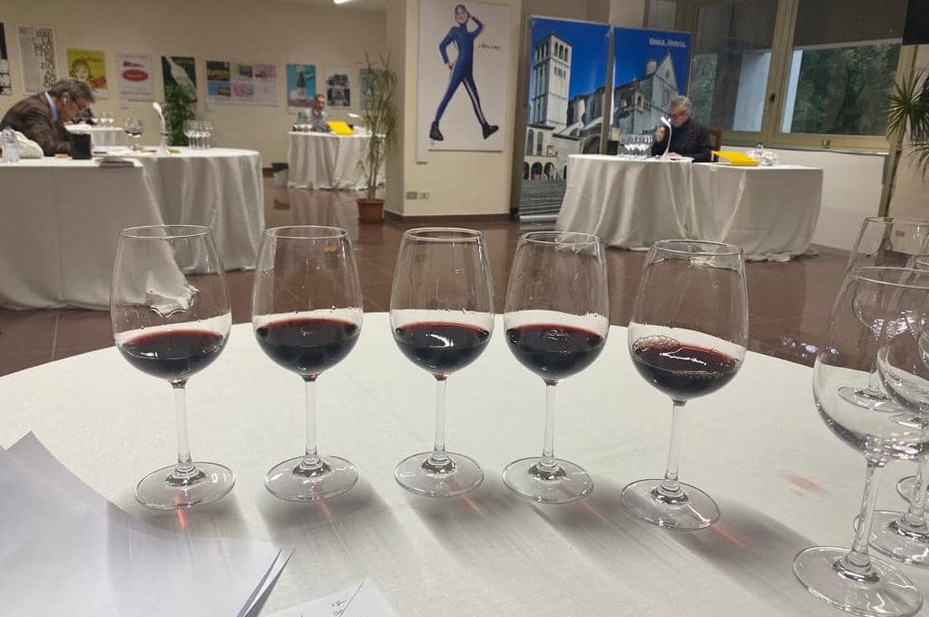 Umbria del vino_degustazione