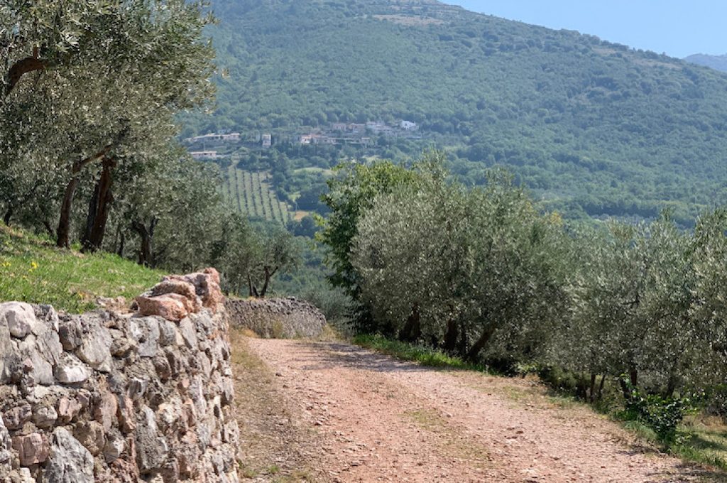Umbria lungo la Strada dell'Olio e.v.o.