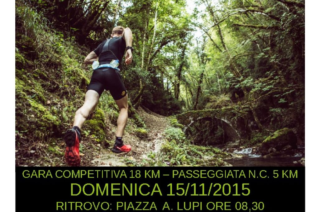 VOLANTINO fronte vert