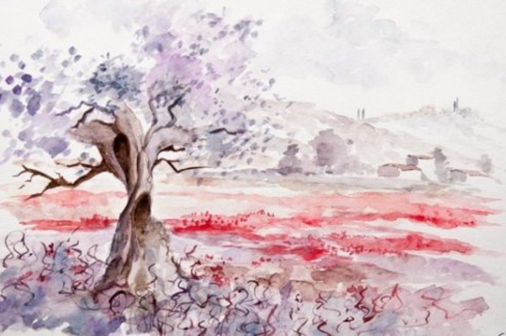 Vinarello
