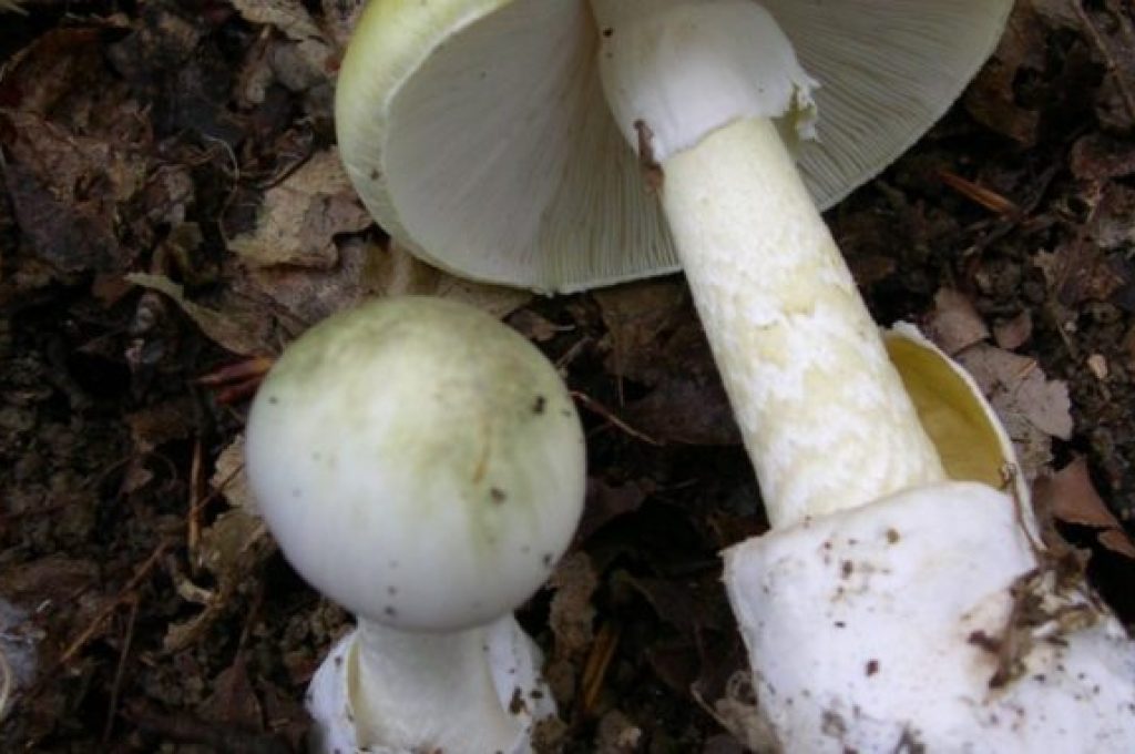 aaaaaaaaaaaaaaaaaaaaaaa