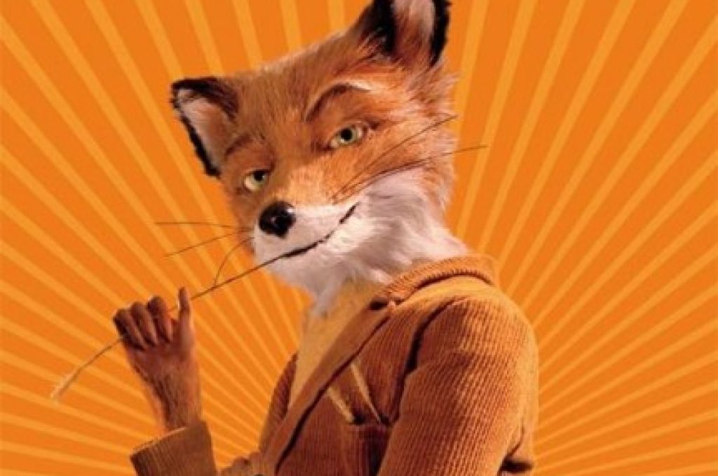 Doctor fox