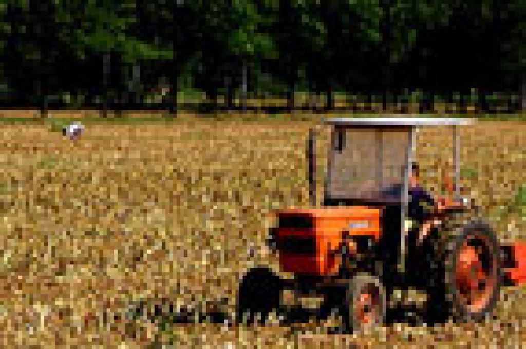agricoltura_thumb