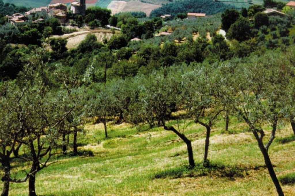 agriturismo