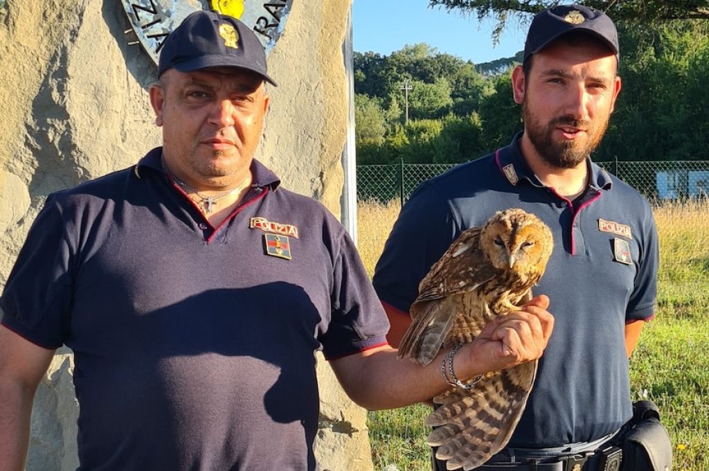 allocco polizia todi