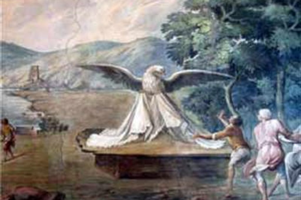 aquila