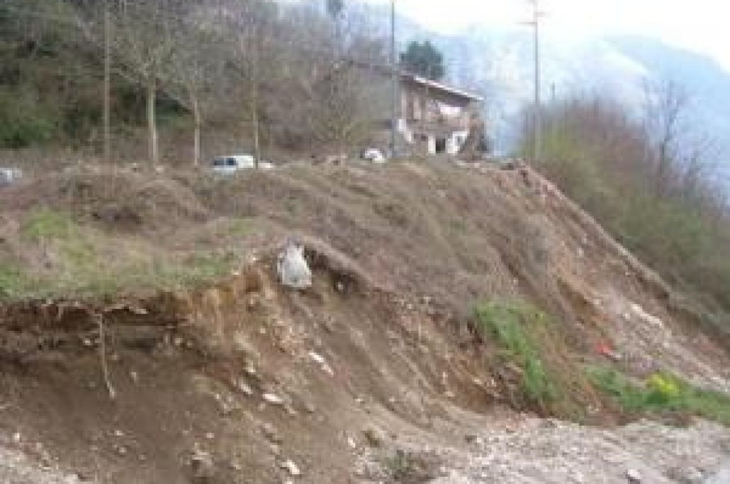 assisi-franayvancich