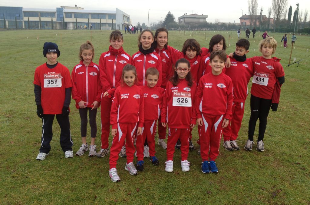 avis-cross