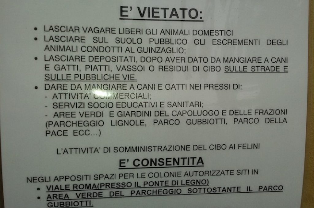avviso gatti