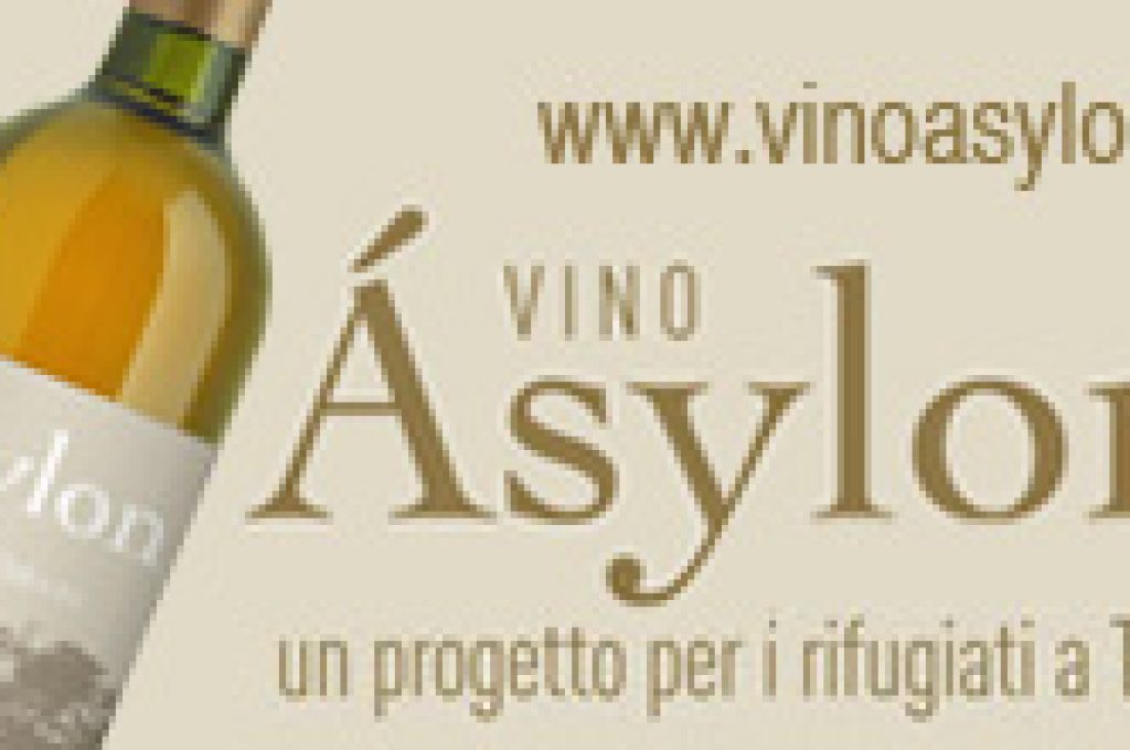 banner-vino-asylon