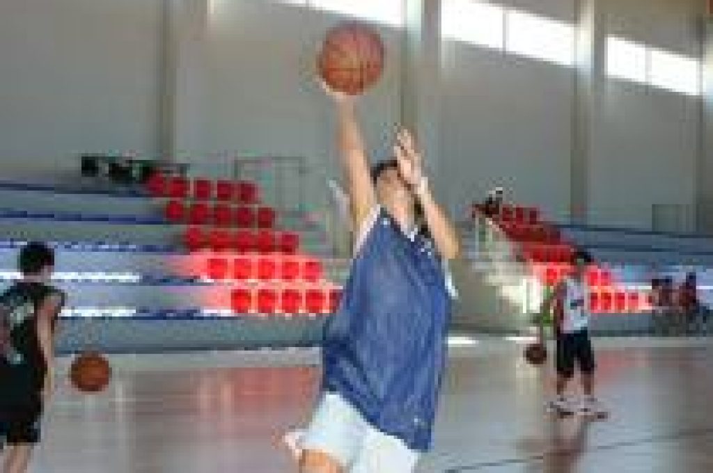 basket