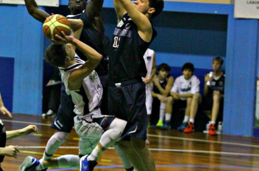 basket todi2