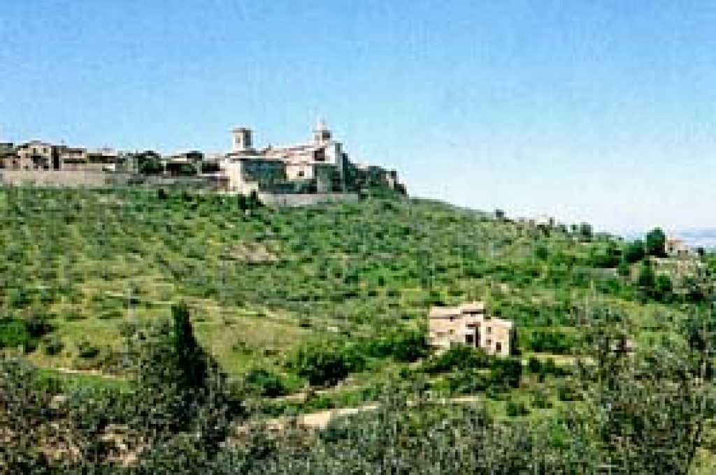 bettona
