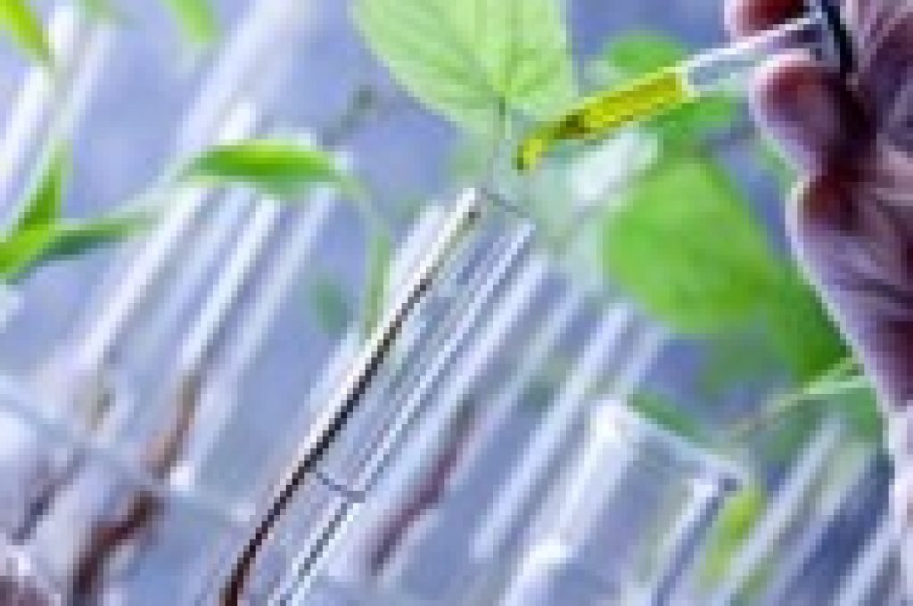 biotecnologie-magistrale2-150x150