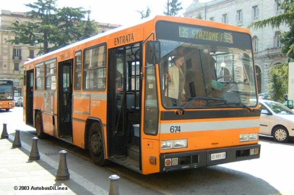 bus