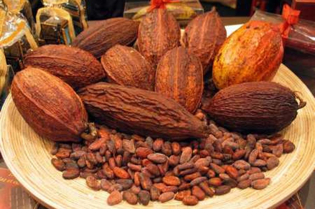 cacao