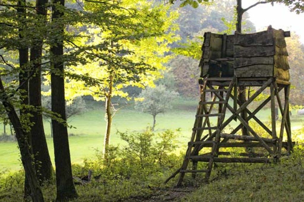 caccia appostamento fisso