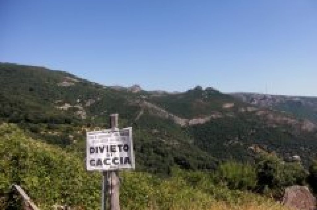 caccia-divieto