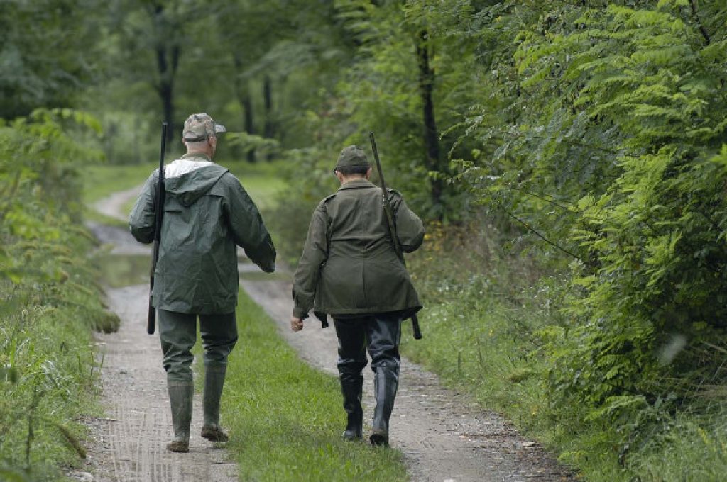 cacciatori-cinghiale