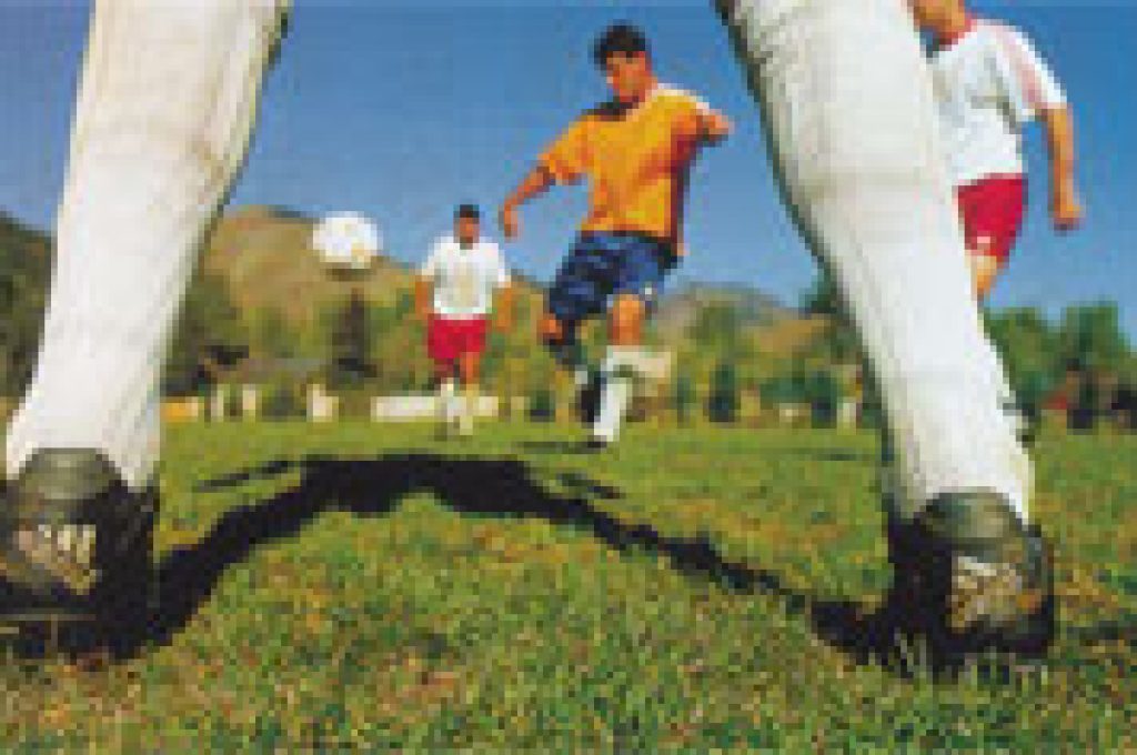 calcio2