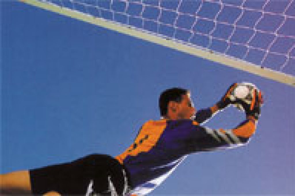 calcio3
