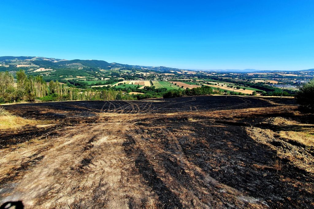 campi bruciati agraria todi