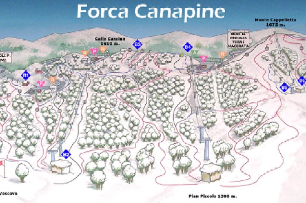 canapine