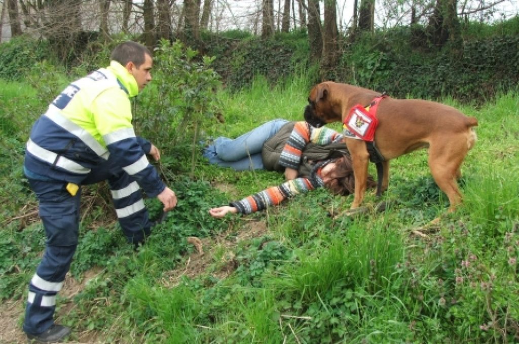 cane-protezione-civile