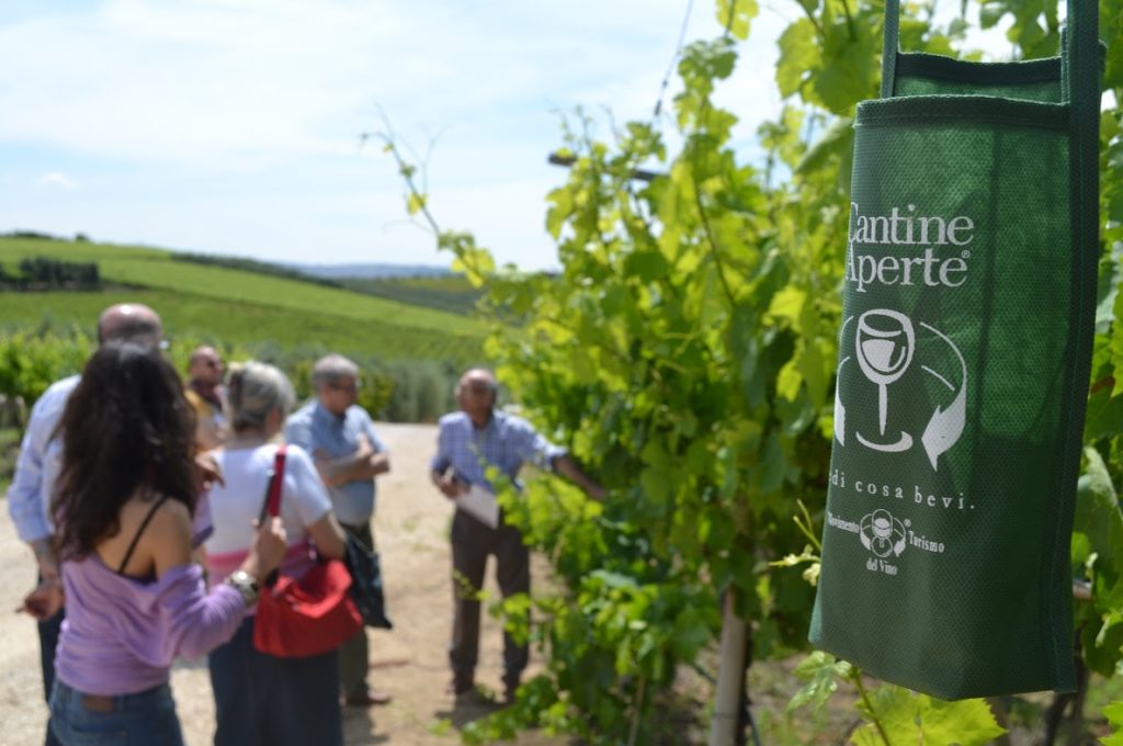 cantine-aperte-2015-tor-de-falchi-enoturisti-visita-vigneto-tasca-4