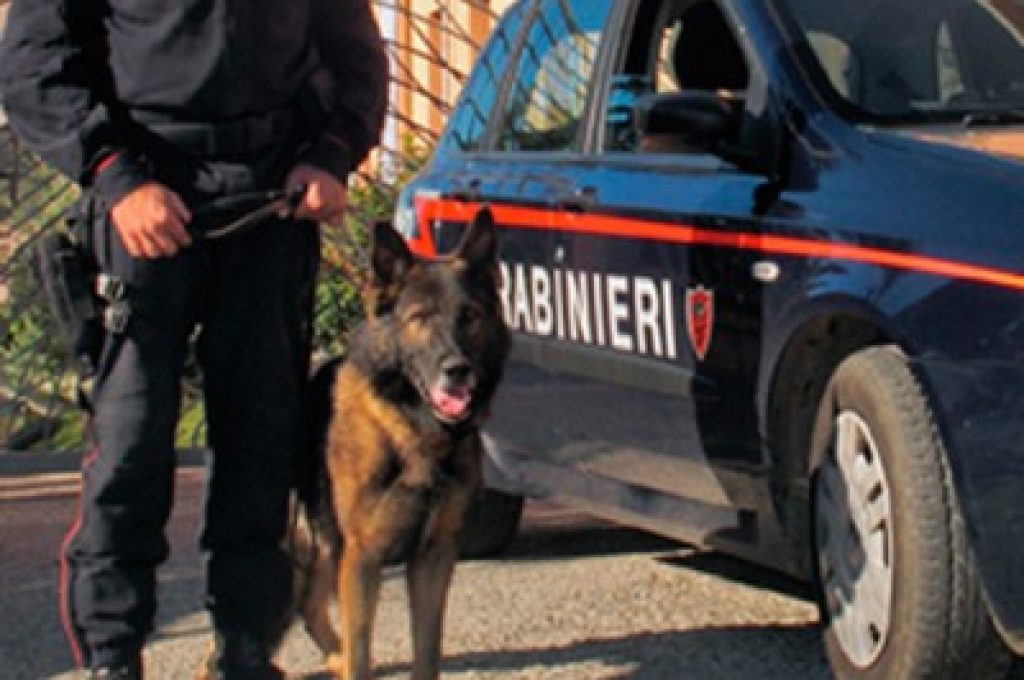 carabinieri-cinofili-ricerche--400x276