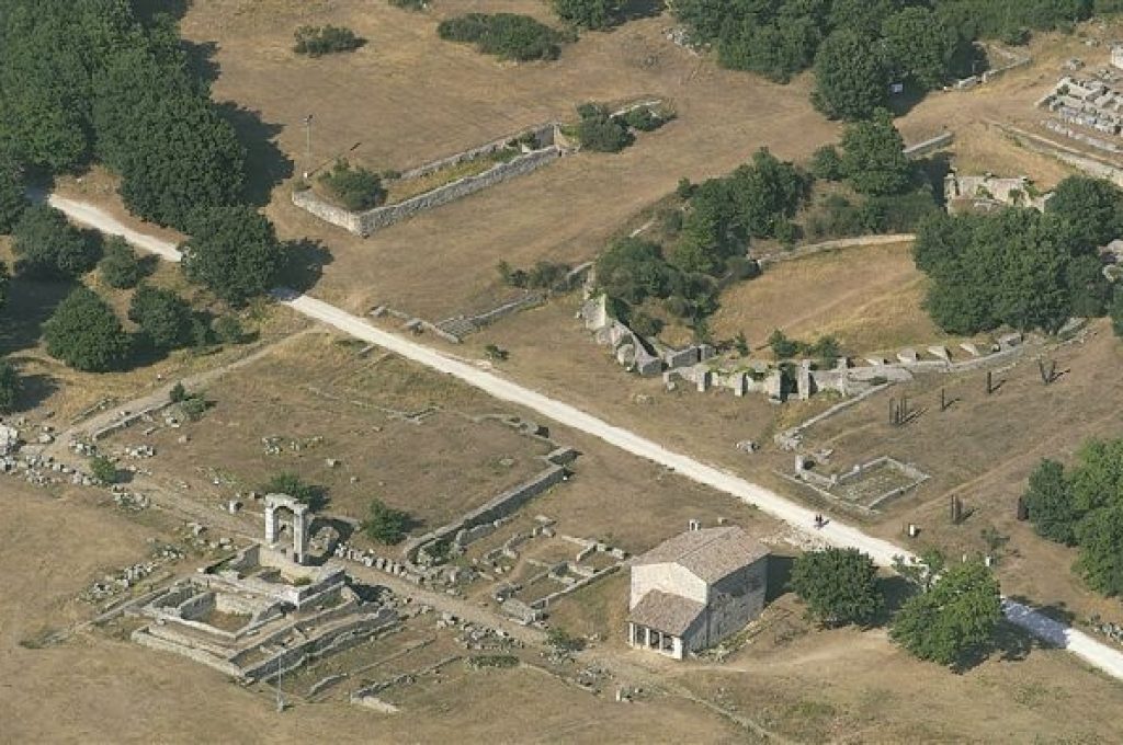 carsulae1
