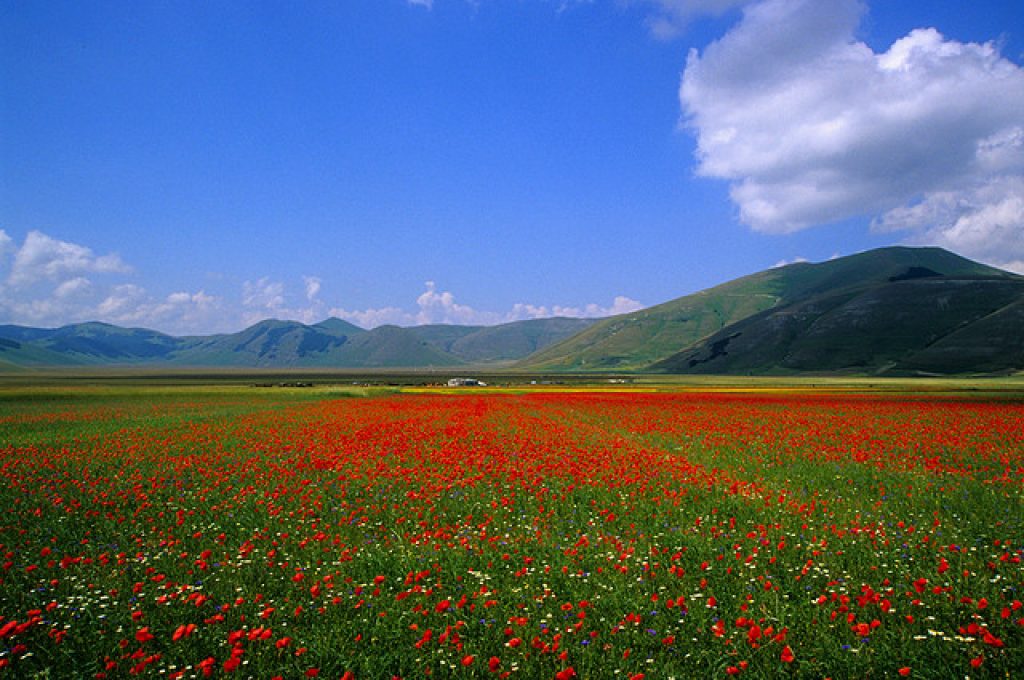 castelluccio-di-norcia