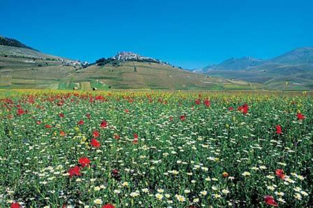 castelluccio-di-norcia