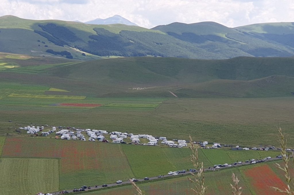 castelluccio fiorita