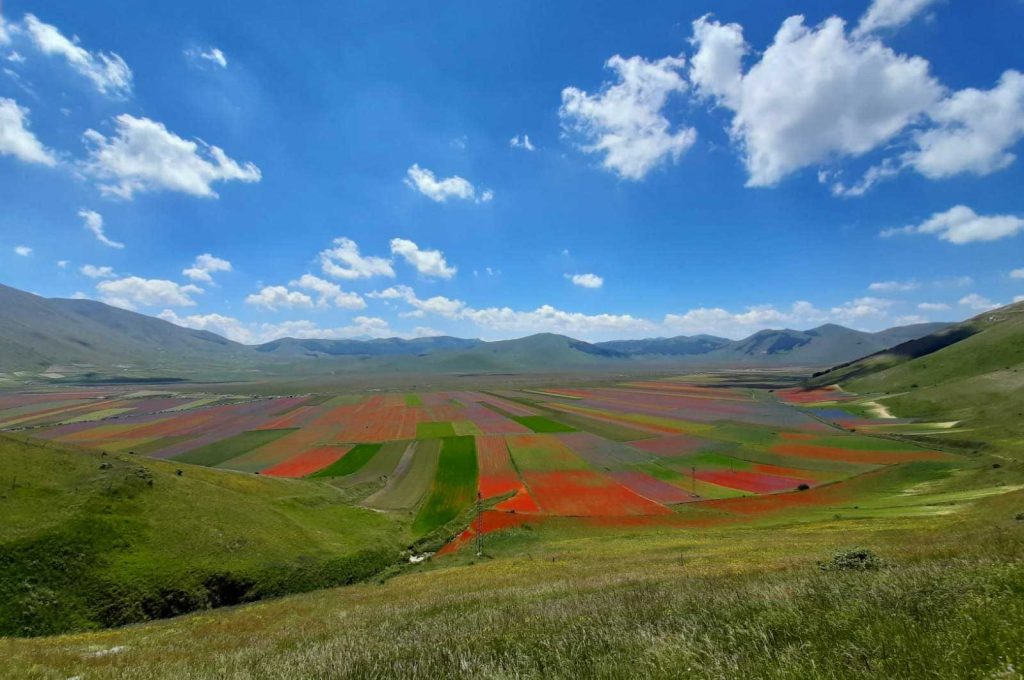 castelluccio