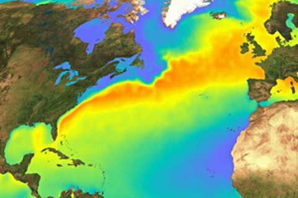 coorente-del-golfo-termica