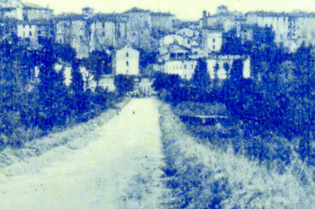 copertina libro Ponte