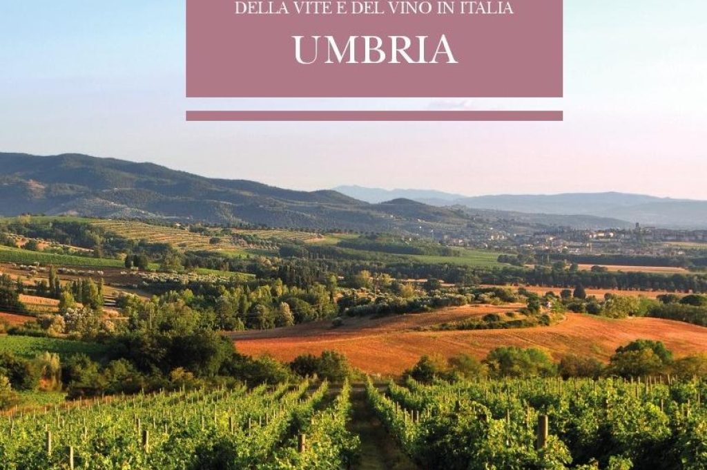 copertina-libro-vaquero-su-vino