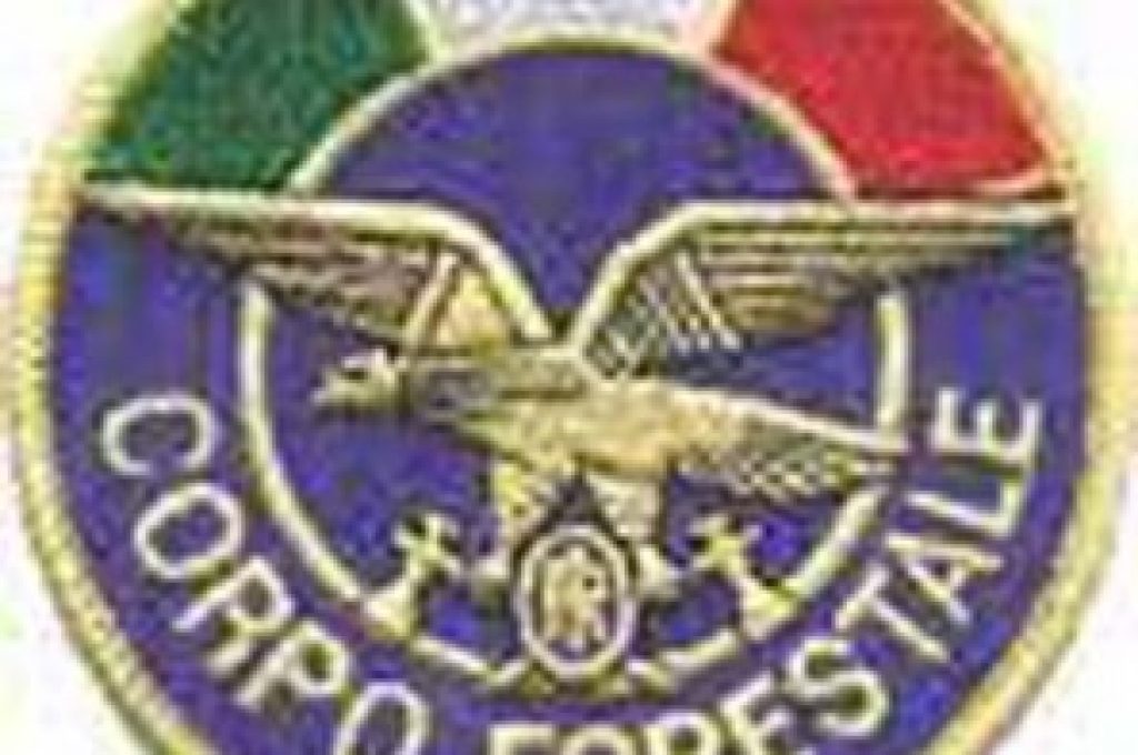 corpo-forestale-dello-stato-297x300