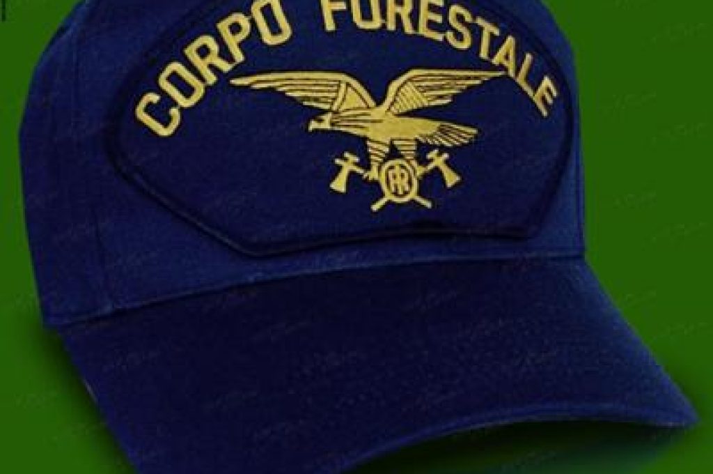 corpo_forestale