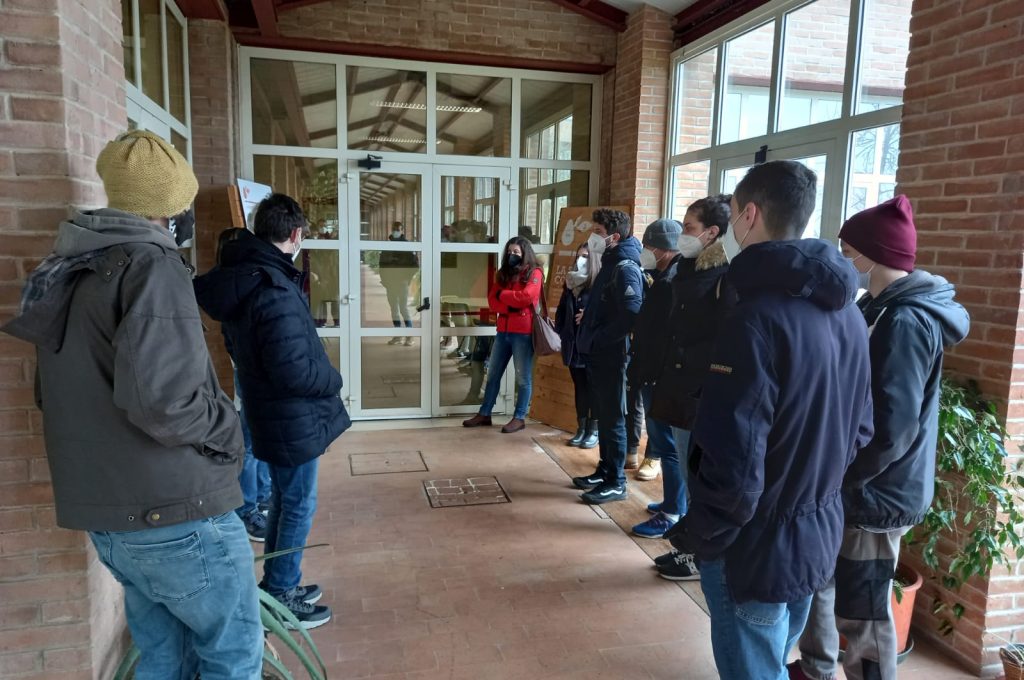 corso skills agroalimentare