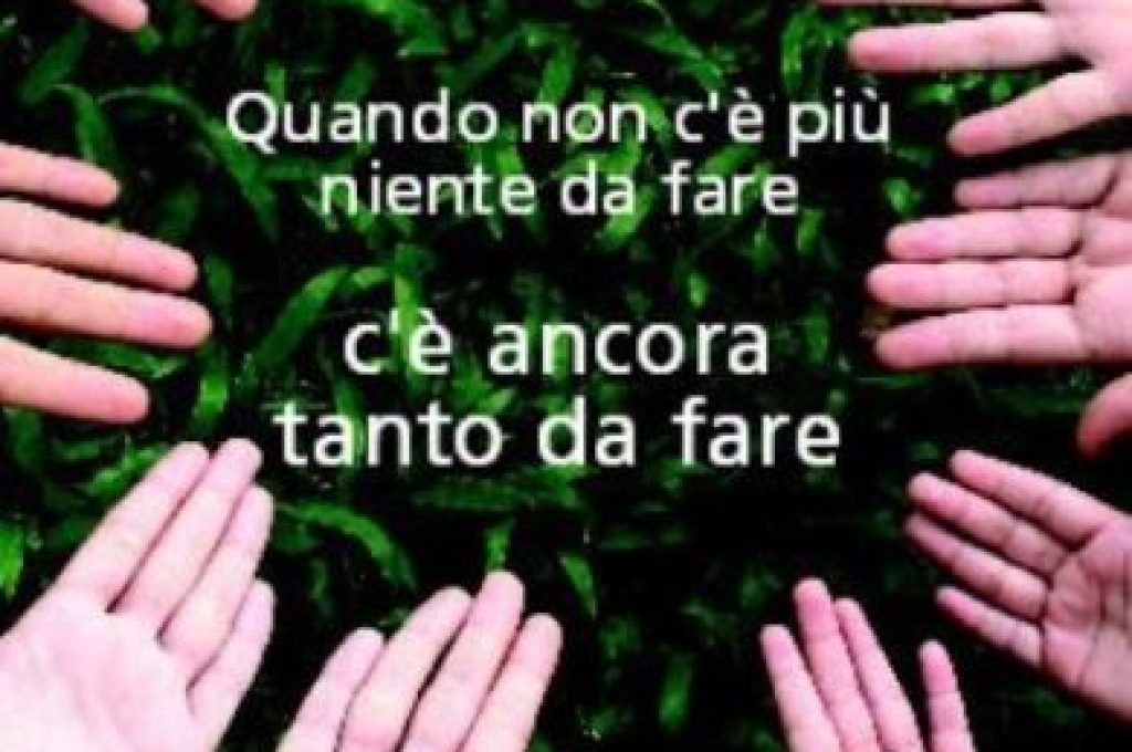 cure_palliative2_410