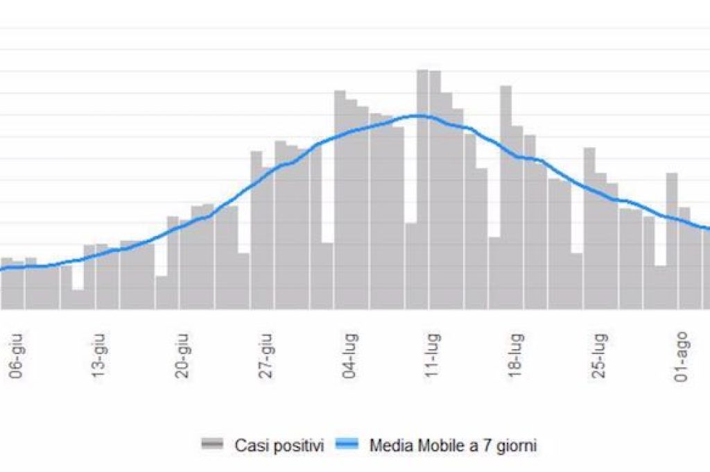 curva covdi 12-08-22