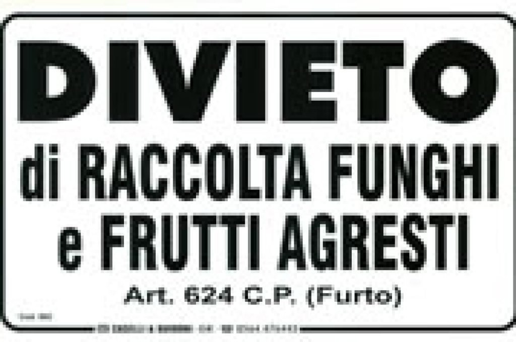 divieto raccolta